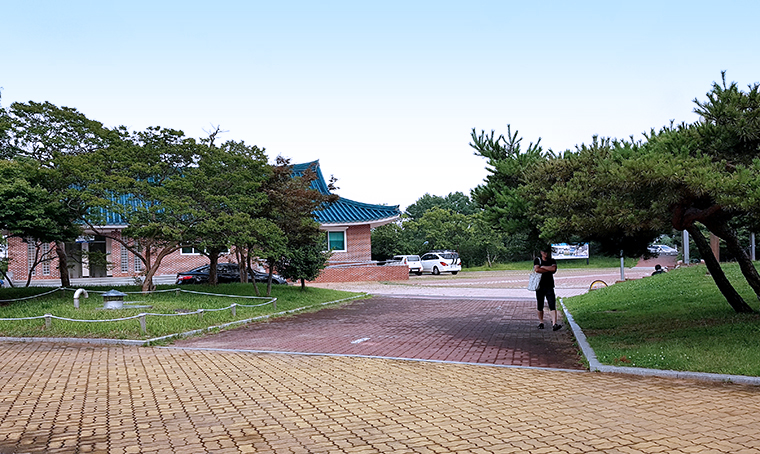 01.jpg