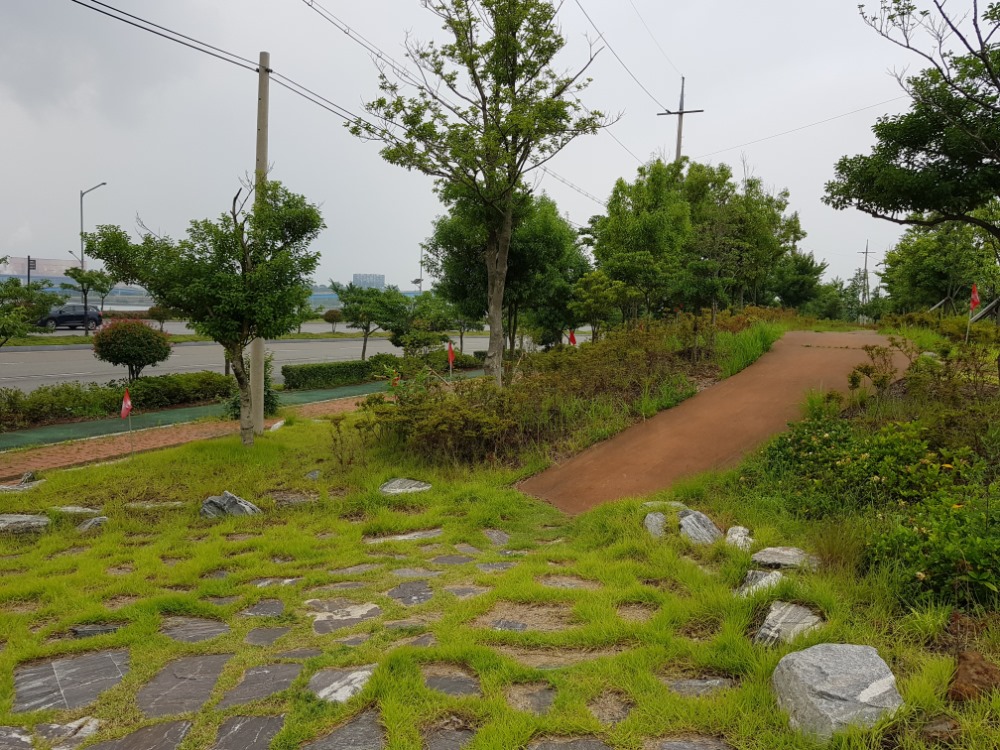 20180629_104155.jpg